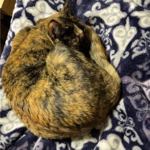 Meet your Posher, Katelyn